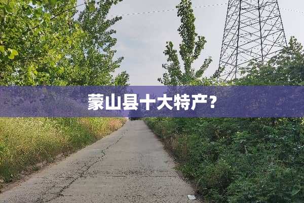 蒙山县十大特产？