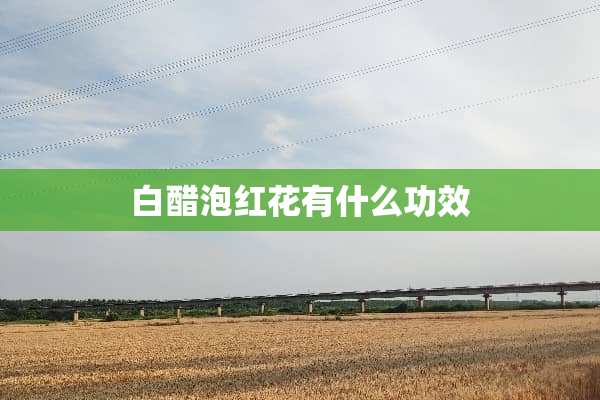 白醋泡红花有什么功效