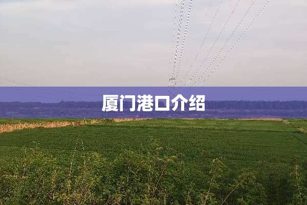 厦门港口介绍