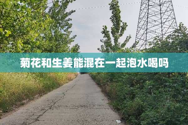 菊花和生姜能混在一起泡水喝吗
