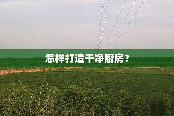 怎样打造干净厨房？