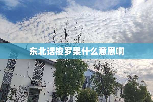 东北话梭罗果什么意思啊