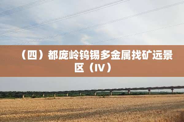 （四）都庞岭钨锡多金属找矿远景区（Ⅳ）