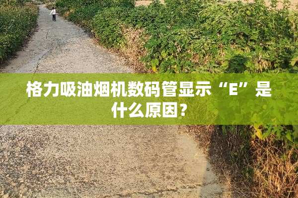 格力吸油烟机数码管显示“E”是什么原因？