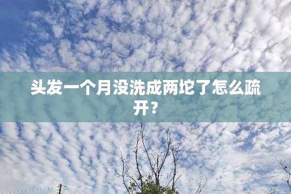 头发一个月没洗成两坨了怎么疏开？