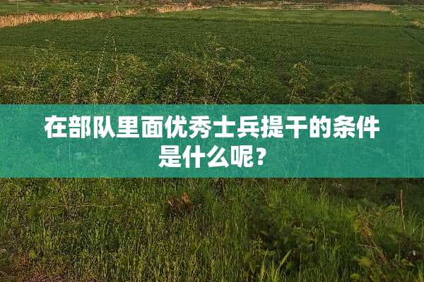 在**里面优秀士兵提干的条件是什么呢？