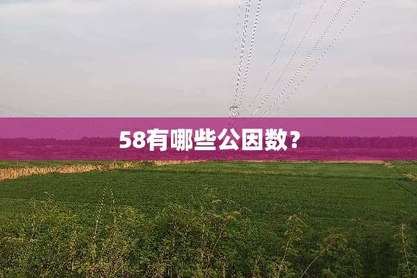 58有哪些公因数？
