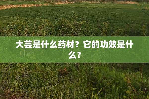 大芸是什么药材？它的功效是什么？