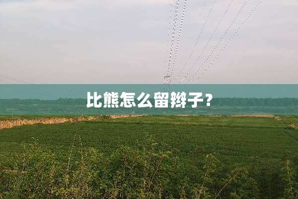 比熊怎么留辫子？