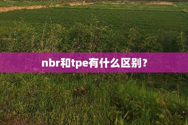 nbr和tpe有什么区别？