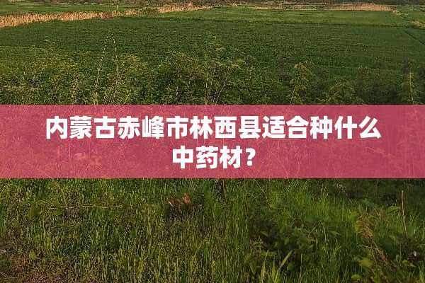 内蒙古赤峰市林西县适合种什么中药材？
