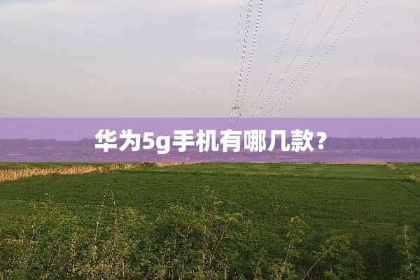 华为5g手机有哪几款？