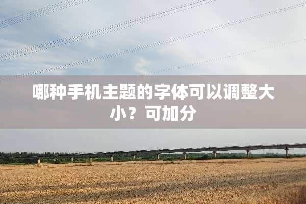 哪种手机主题的字体可以调整大小？可加分
