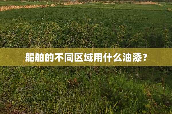 船舶的不同区域用什么油漆？
