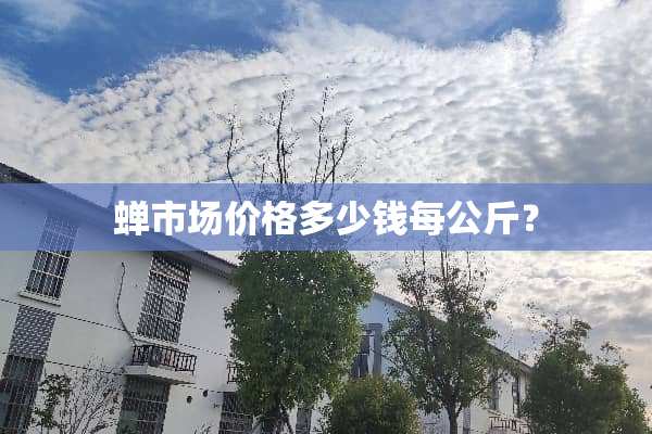 蝉市场价格多少钱每公斤？