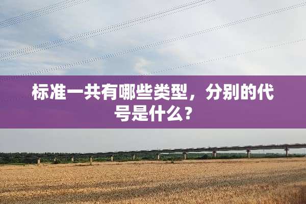 标准一共有哪些类型，分别的代号是什么？