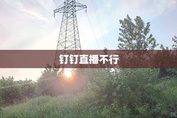 钉钉直播不行