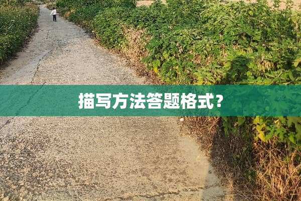 描写方法答题格式？