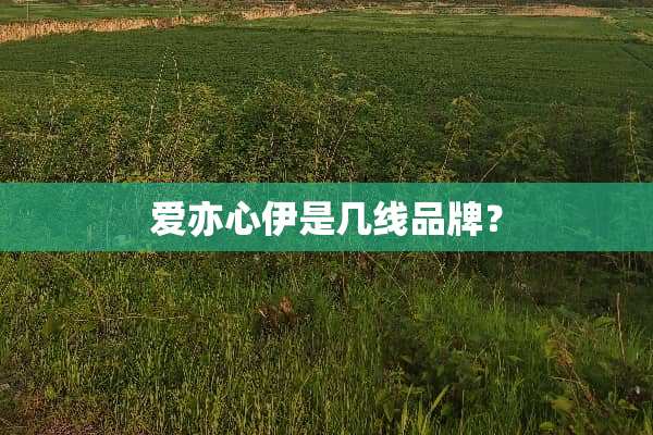 爱亦心伊是几线品牌？