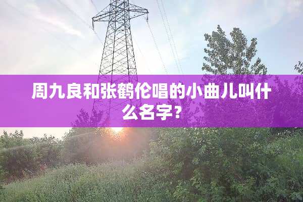 周九良和张鹤伦唱的小曲儿叫什么名字？