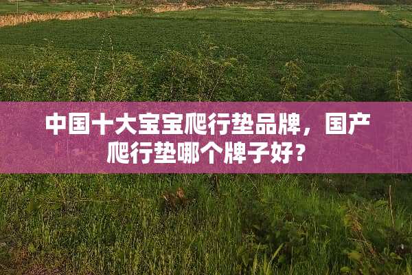 中国十**宝爬行垫品牌，国产爬行垫哪个牌子好？