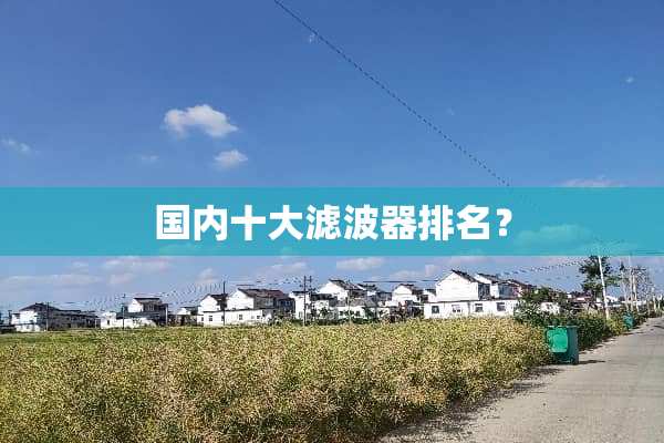 国内十大滤波器排名？