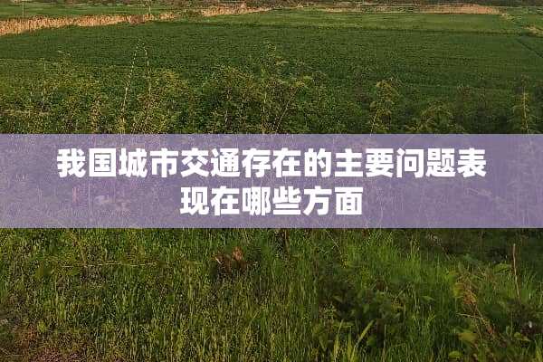 我国城市交通存在的主要问题表现在哪些方面