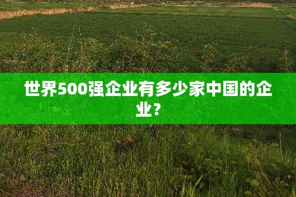 世界500强企业有多少家中国的企业？