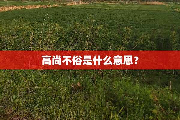 高尚不俗是什么意思？