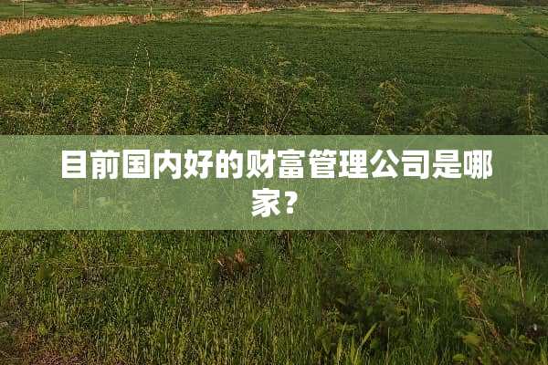 目前国内好的财富管理公司是哪家？