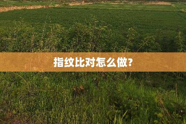 指纹比对怎么做？