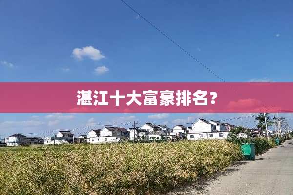 湛江十大富豪排名？