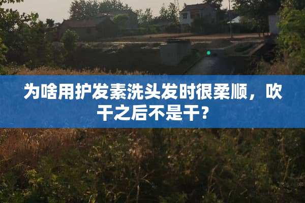为啥用护发素洗头发时很柔顺，吹干之后不是干？
