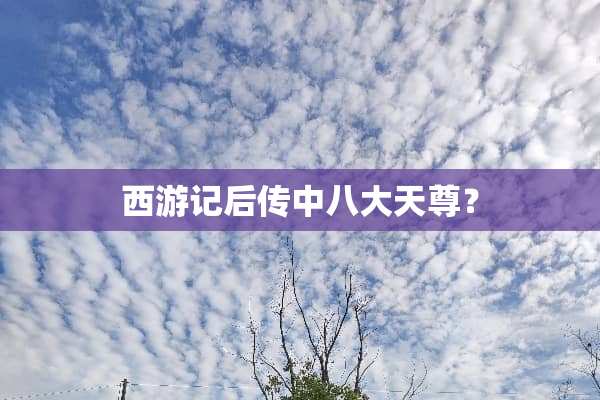 西游记后传中八大天尊？
