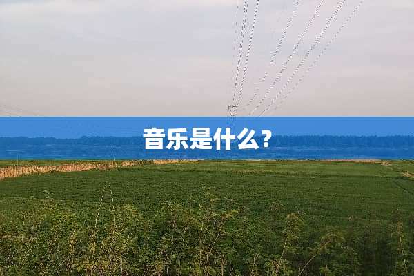音乐是什么？