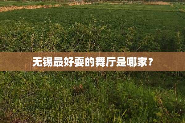 无锡最好耍的舞厅是哪家？