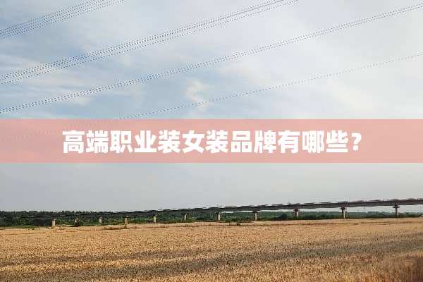 高端职业装女装品牌有哪些？