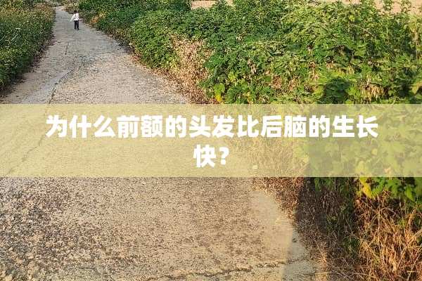 为什么前额的头发比后脑的生长快？