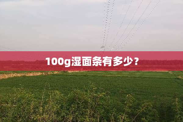 100g湿面条有多少？