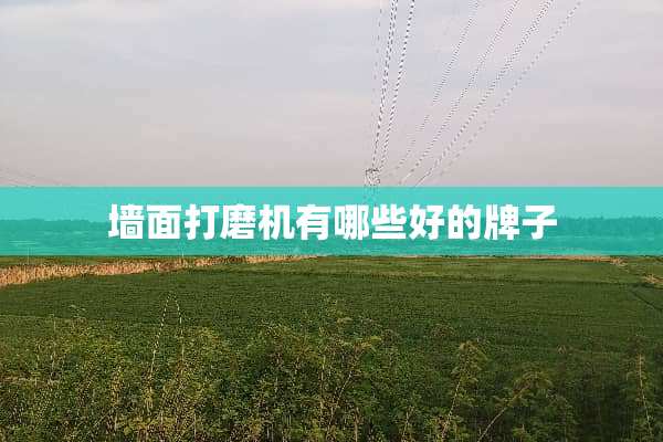 墙面打磨机有哪些好的牌子