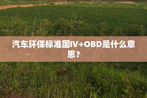 汽车环保标准国Ⅳ+OBD是什么意思？