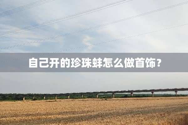 自己开的珍珠蚌怎么做首饰？