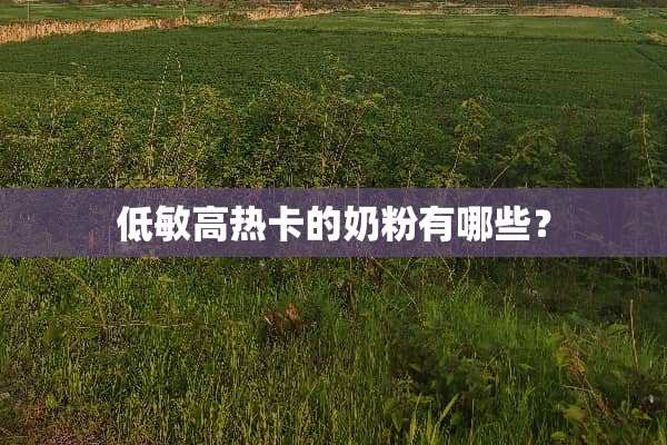 低敏高热卡的奶粉有哪些？
