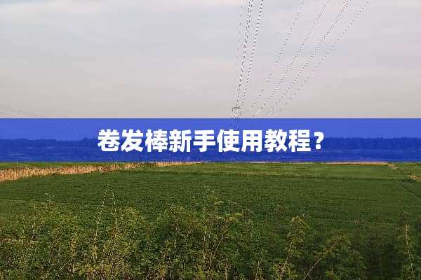 卷发棒新手使用教程？