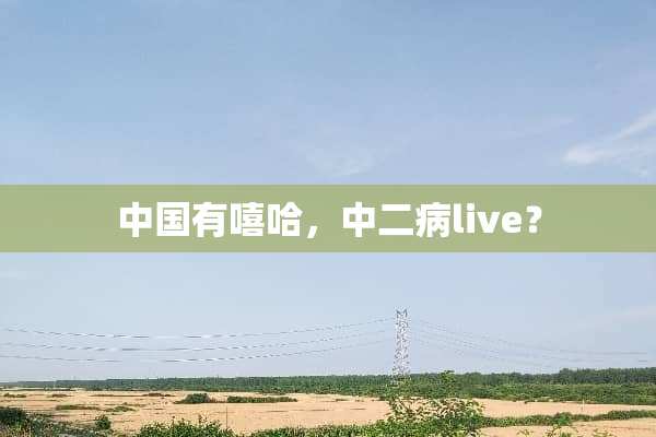 中国有嘻哈，中二病live？