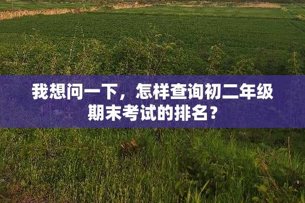 我想问一下，怎样查询初二年级期末考试的排名？