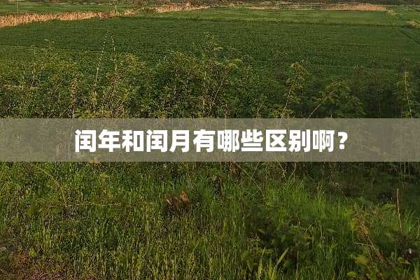 闰年和闰月有哪些区别啊？