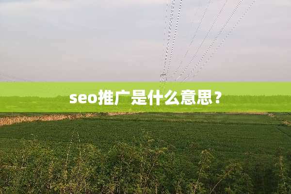 seo推广是什么意思？