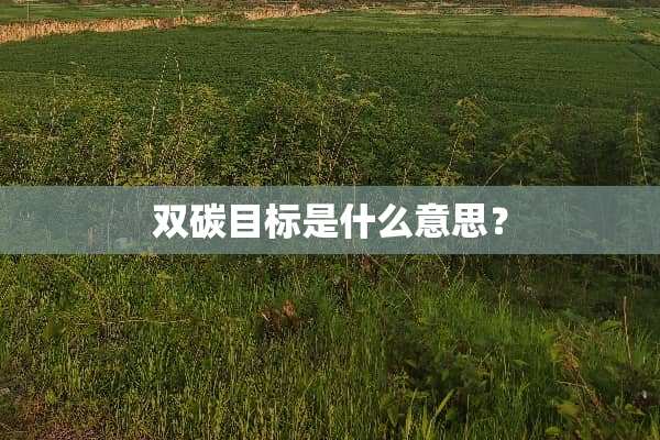双碳目标是什么意思？