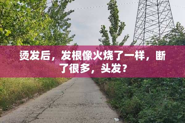 烫发后，发根像火烧了一样，断了很多，头发？